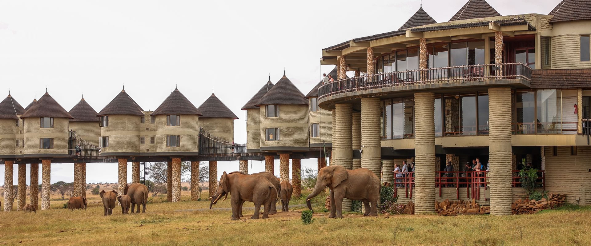 2 Days Taita Hills Wildlife Safari