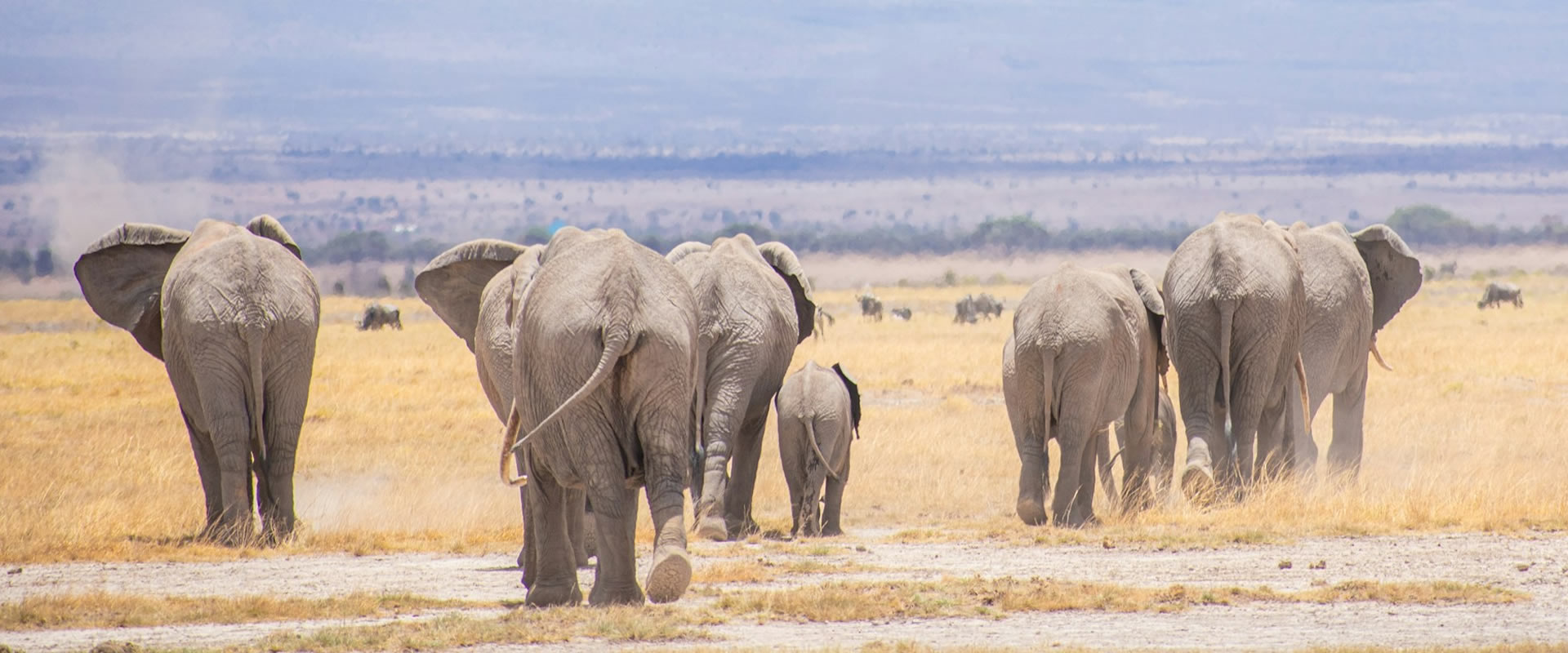 3 Days Zanzibar Island Excursion from Nairobi