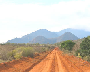 Kenya safari packages