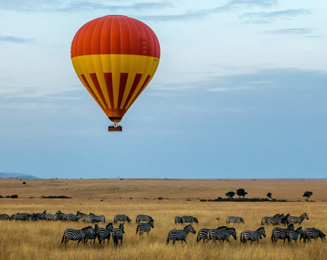 Affordable Kenya safaris