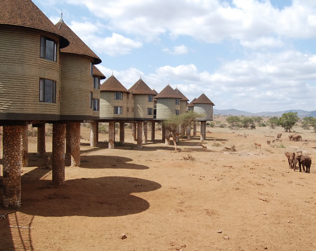 Saltlick Safari Lodge